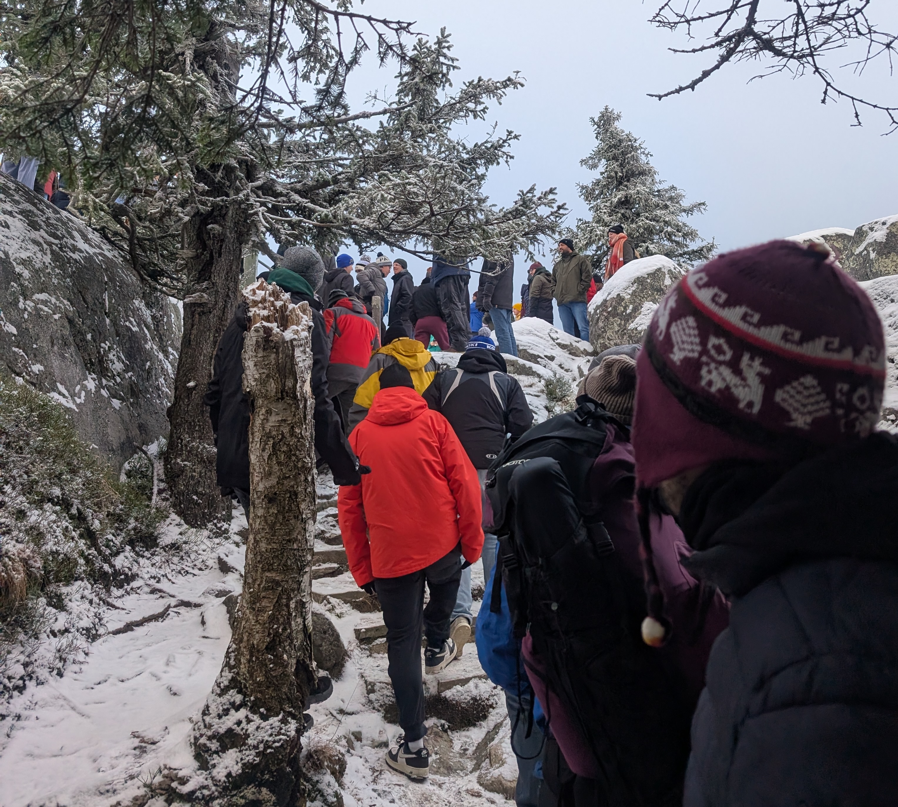 The stairs up to Ukka-Koli, with a long queue of Koli attendees on it.